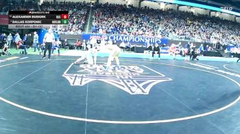 D1-157 lbs 1st Place Match - Dallas Korponic, Hartland vs Alexander Buskirk, Detroit Catholic Central
