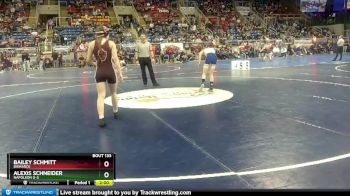 115 lbs Quarterfinal - Alexis Schneider, Napoleon G-S vs Bailey Schmitt, Bismarck