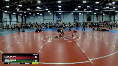 84 lbs Rd# 5- 3:45pm Friday Final Pool - Rocco Fabri, PA Silver vs Cole Palma, Rebellion