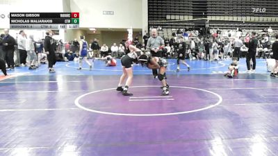 81 lbs Rr Rnd 4 - Mason Gibson, Warhawks Wrestling Inc. - MSE vs Nicholas Maliarakis, CTWHALE Humpback - MSE