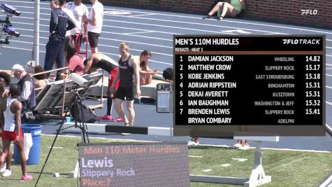 Men's 110m Hurdles, Finals 4
