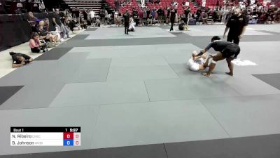 Nathalie Ribeiro vs Brittney Johnson 2022 ADCC Open