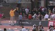 Men's 110m Hurdles, Finals 2