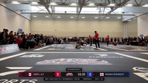 Abdel Aly vs Roman Budnikov 2024 ADCC Niagara Open