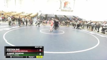 110 lbs Semifinal - Aubree Dignean, Proper-ly Trained vs Stetson Ray, Phoenix Combat Kids Wrestling