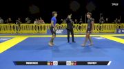 Sean Foley vs Simone Grillo 2025 Pan IBJJF Jiu-Jitsu No-Gi Championship
