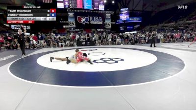 132 lbs Champ. Rd Of 128 - Liam Wechsler, IN vs Vincent Robinson, AK
