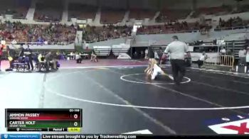 D1-144 lbs 3rd Place Match - Ammon Passey, Shadow Ridge vs Carter Holt, Desert Vista