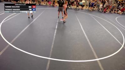 135 lbs Champ. Round 2 - Lane Werner, Pursuit Wrestling vs Cole Yeager, Coon Rapids Mat Bandits