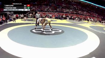 D1-190 lbs 3rd Place Match - Liam Lloyd, Mentor vs Jonathan Sims, Brush