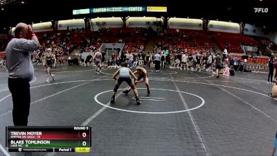 76 lbs Round 5 (8 Team) - Trevin Moyer, Empyre WC Gold vs Blake Tomlinson, Lake WC