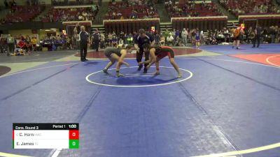 144 lbs Cons. Round 3 - Carmelia Horn, Hardin Wrestling Club vs Elizabeth James, Team Champs