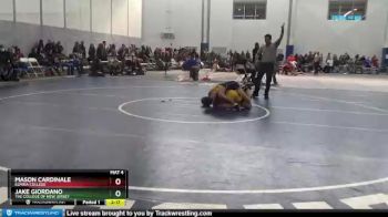 133 lbs Prelim - Jake Giordano, The College Of New Jersey vs Mason Cardinale, Elmira College