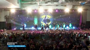 VANCOUVER ALL STARS - Black Ice [2025 L7 - IASF Open Coed NT Day 2] 2025 Sea to Sky International Cheer Championship