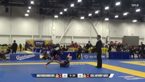 Cole Anthony Abate vs Marco Vinicius Mendes Brito 2024 World IBJJF Jiu-Jitsu No-Gi Championship