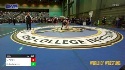 96 lbs Consi Of 8 #1 - Levi Pena, Team Selma vs Makana Godwin, Nakamura Wrestling