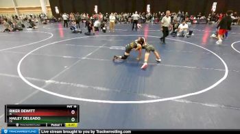 83 lbs Champ. Round 2 - Hailey Delgado, TX vs Riker Dewitt, IA