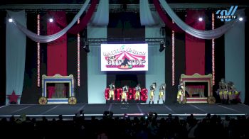 Cheer Athletics - Pittsburgh - Steelcats [2023 L6 Senior - XSmall Day 1] 2023 ASC Battle Under the Big Top Grand Nationals