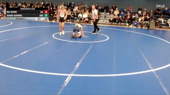 113 lbs Round 4 - Gage Gaukel, Liberty North vs Eli Dank, Lincoln Southeast