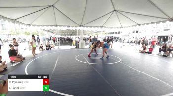 191 lbs Final - Diara Pomares, Hemet Youth WC vs Tevia Nau Rarick, Westlake