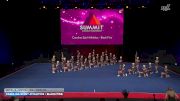 Carolina Spirit Athletics - Black Fins [2026 L2 Junior - D2 - Medium] 2026 The D2 Summit