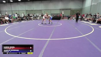 132 lbs Semis & 3rd Wb (16 Team) - Aaron Seidel, Pennsylvania vs Kaedun Goodman, Nebraska