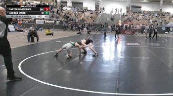 A 120 lbs 3rd Place Match - Carter Hostetler, Spring Hill High School vs Harold Ward, Greenbrier High School