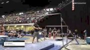 Lily Holland - Women's Group, Mini-Hops Gymnastics - 2021 Women's Xcel Region 4 Championships
