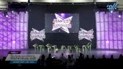 The Vision Dance Center - Youth Small Jazz [2024 Youth - Jazz - Small 2] 2024 JAMfest Dance Super Nationals