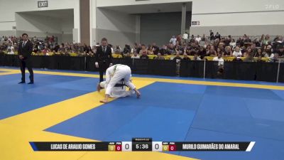 Murilo Guimarães Do Amaral vs Lucas De Araujo Gomes 2025 World Master IBJJF Jiu-Jitsu Championship
