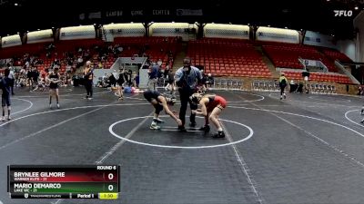 80 lbs Round 6 (8 Team) - Mario Demarco, Lake WC vs Brynlee Gilmore, Warner Elite