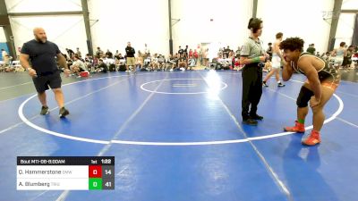 163 lbs Quarterfinal - Quentin Hammerstone, Gold Medal WC vs Adam Blumberg, Triumph Blue