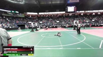 55 lbs Champ. Round 2 - Braxton Holtz, WSW1 vs Conner Walker, RIKA