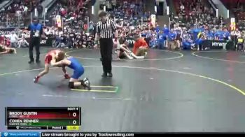 67 lbs Round 2 (4 Team) - Brody Gustin, Lowell Red vs Cohen Renner, Harper Creek