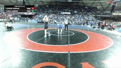 Boys 4A 120 lbs Quarterfinal - Crew Lambro, Tahoma vs Carter Tughan, Tahoma