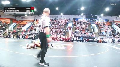 126 lbs Quarterfinals (8 Team) - Christian Brown, Algonac vs Cole Strank, Eaton Rapids
