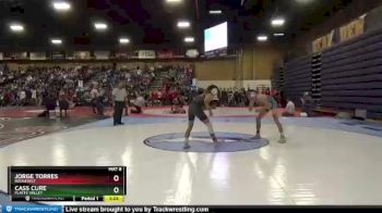 132 lbs Champ. Round 2 - Jorge Torres, Roosevelt vs Cass Cure, Platte Valley