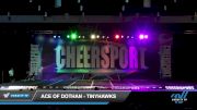 ACE of Dothan - Tinyhawks [2023 L1 Tiny - Novice - Restrictions Day 1] 2023 CHEERSPORT Biloxi Classic