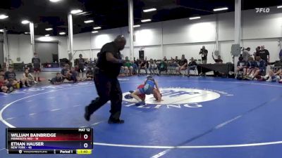 87 lbs 4th Wrestleback (16 Team) - William Bainbridge, Minnesota Red vs Ethan Hauser, New York