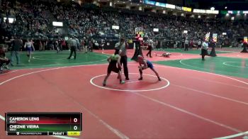 110 lbs Quarterfinal - Cameron Leng, MVL1 vs Cheznie Vieira, WKS1