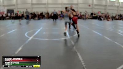 76 lbs Round 1 (10 Team) - Gabriel Custodio, NOVA WC vs Tyler Demand, Lake WC