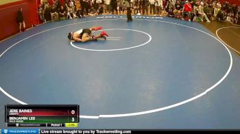 113 lbs Quarterfinal - Jere Baines, Liberty vs Benjamin Lee, Palo Verde