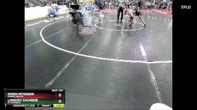 138 lbs Cons. Round 2 - Lorenzo Zacarese, St Anthonys vs Ayden Peterson, Athens Area Hs