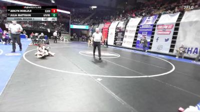 100 Class 2 lbs Cons. Round 1 - Adilyn Hoelzle, Ozark vs Julia Mattison, Lafayette (Wildwood)