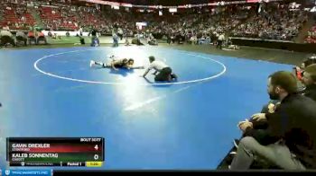D3-138 lbs Quarterfinal - Gavin Drexler, Stratford vs Kaleb Sonnentag, Cadott