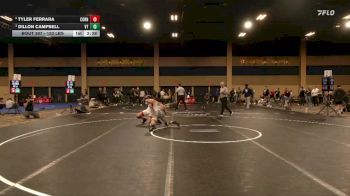 133 lbs Quarters - Tyler Ferrara, Cornell vs Dillon Campbell, Virginia Tech