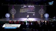 The Dance Vault - Mini Elite Large Pom [2025 Mini - Pom - Large Day 1] 2025 GROOVE Dance Grand Nationals
