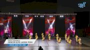 Dance Dynamics - Junior Elite Large Pom [2024 Junior - Pom - Large Day 1] 2024 Just Dance Houston Showdown