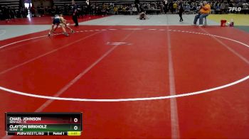 110 lbs Champ. Round 1 - Chael Johnson, New Ulm vs Clayton Birkholz, HLWW