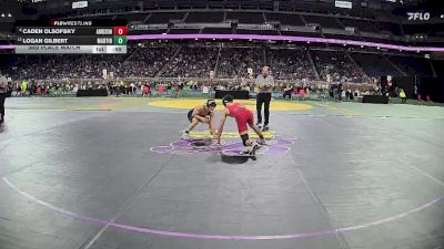 D4-120 lbs 3rd Place Match - Caden Olsofsky, Addison vs Logan Gilbert, Martin